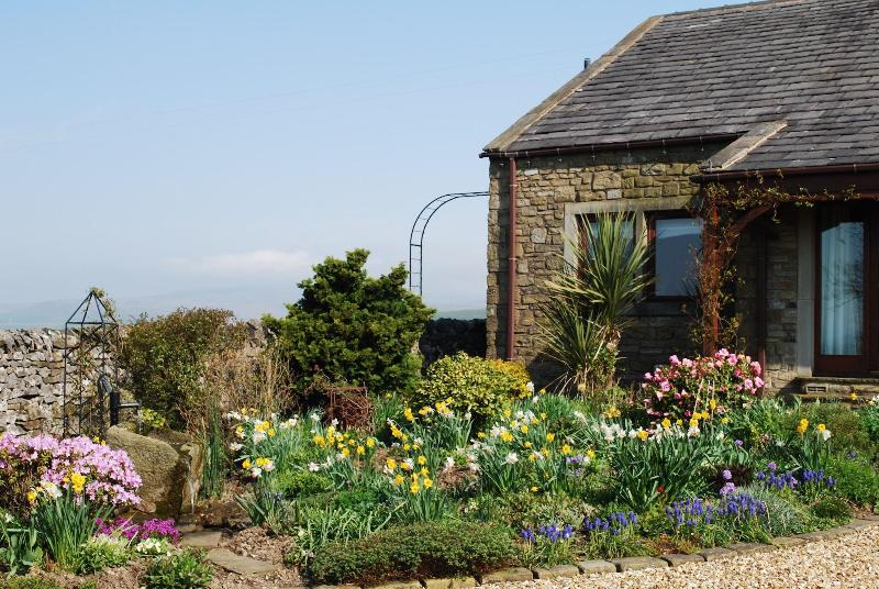 Moor View Bed And Breakfast — main photo