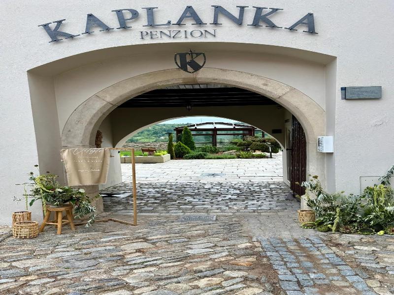 Penzion Kaplanka image