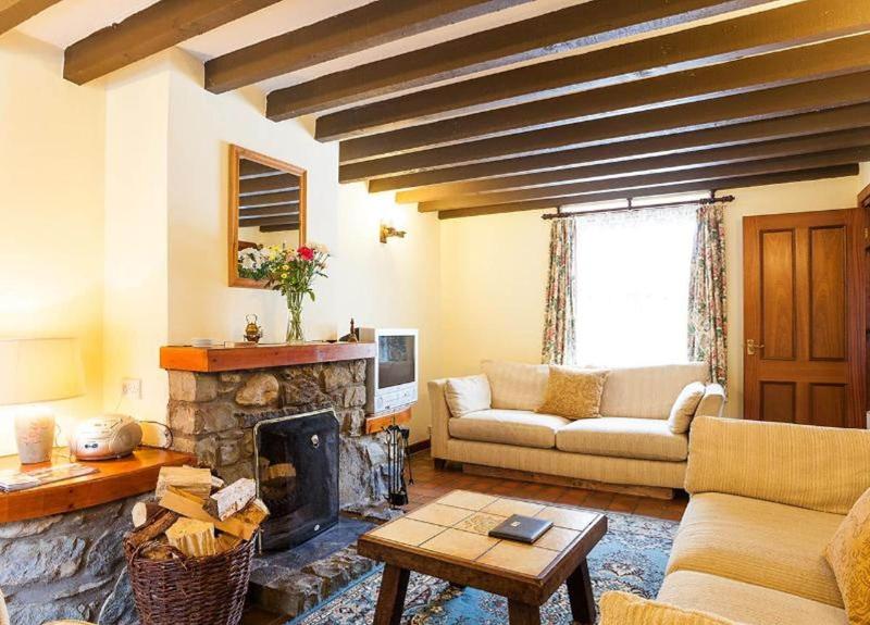 Conwy Valley Cottages image
