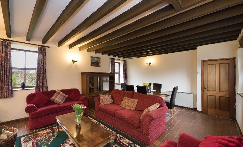 Conwy Valley Cottages image