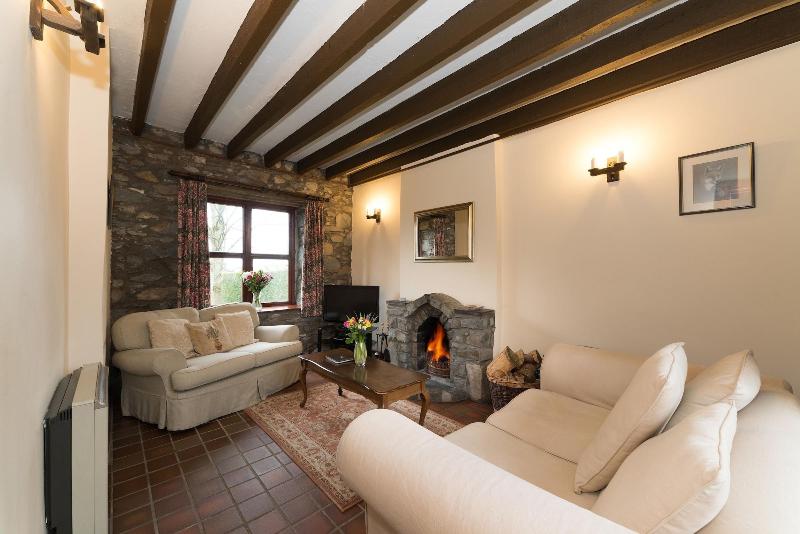 Conwy Valley Cottages image