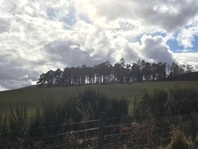 Hillside Havens image