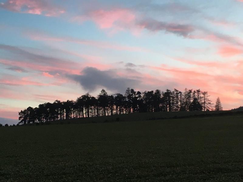 Hillside Havens image