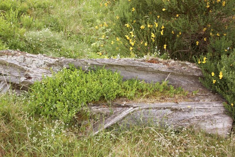 Hillside Havens image 1