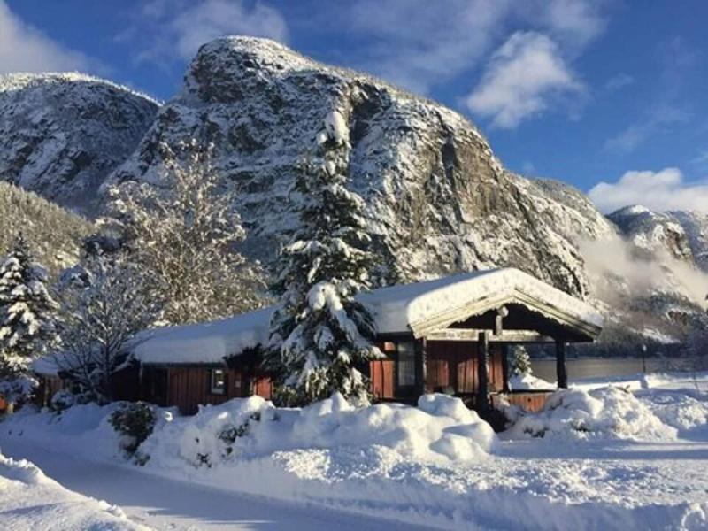 Sã¸lvgarden Cottages image