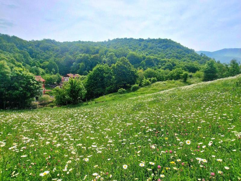 Ecokayan Dilijan Resort Hotel image