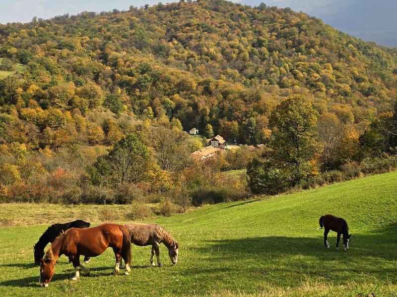 Ecokayan Dilijan Resort Hotel image