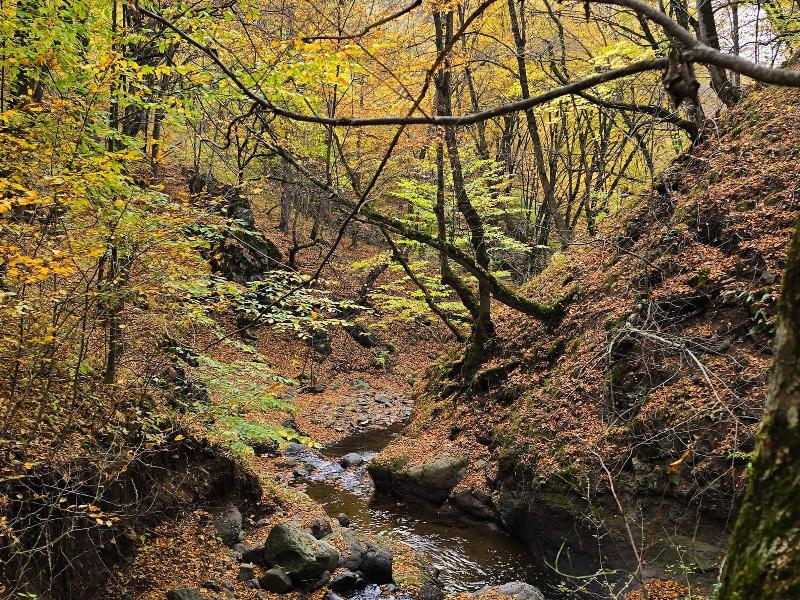Ecokayan Dilijan Resort Hotel image