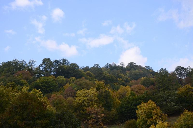 Ecokayan Dilijan Resort Hotel image