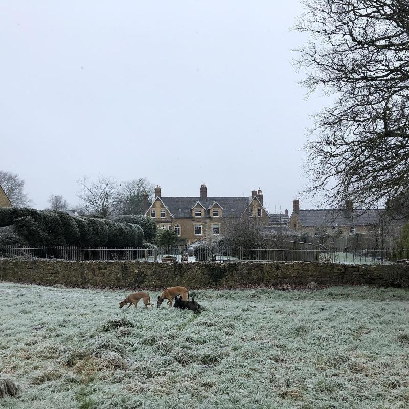 Ellesmere House image