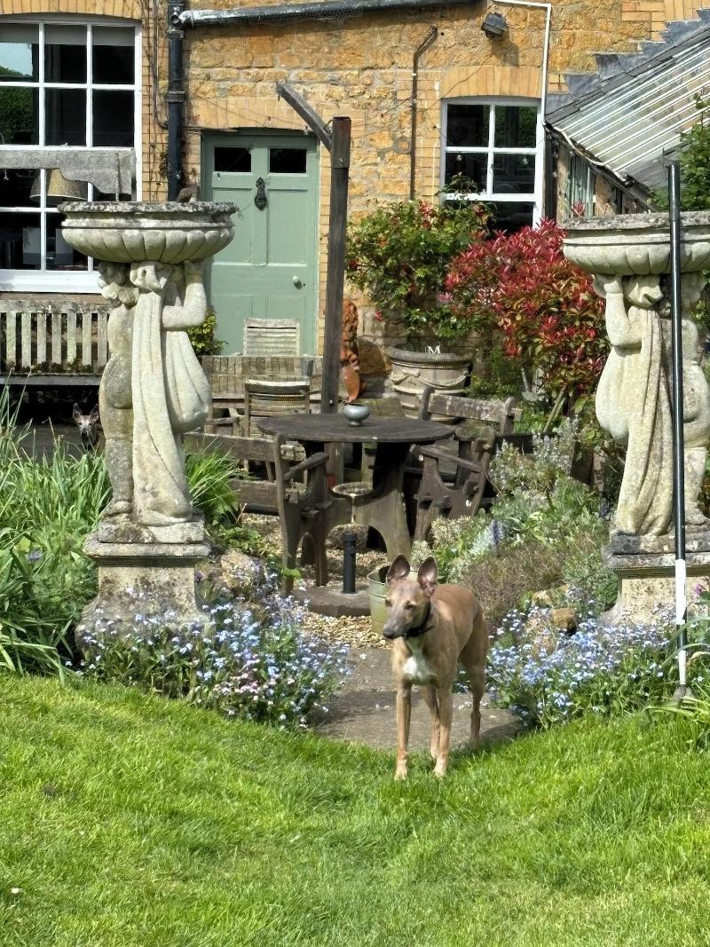 Ellesmere House image