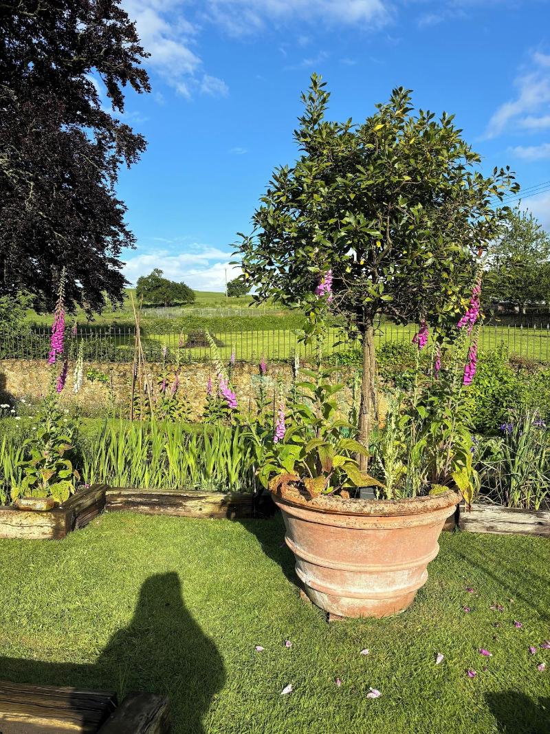 Ellesmere House image