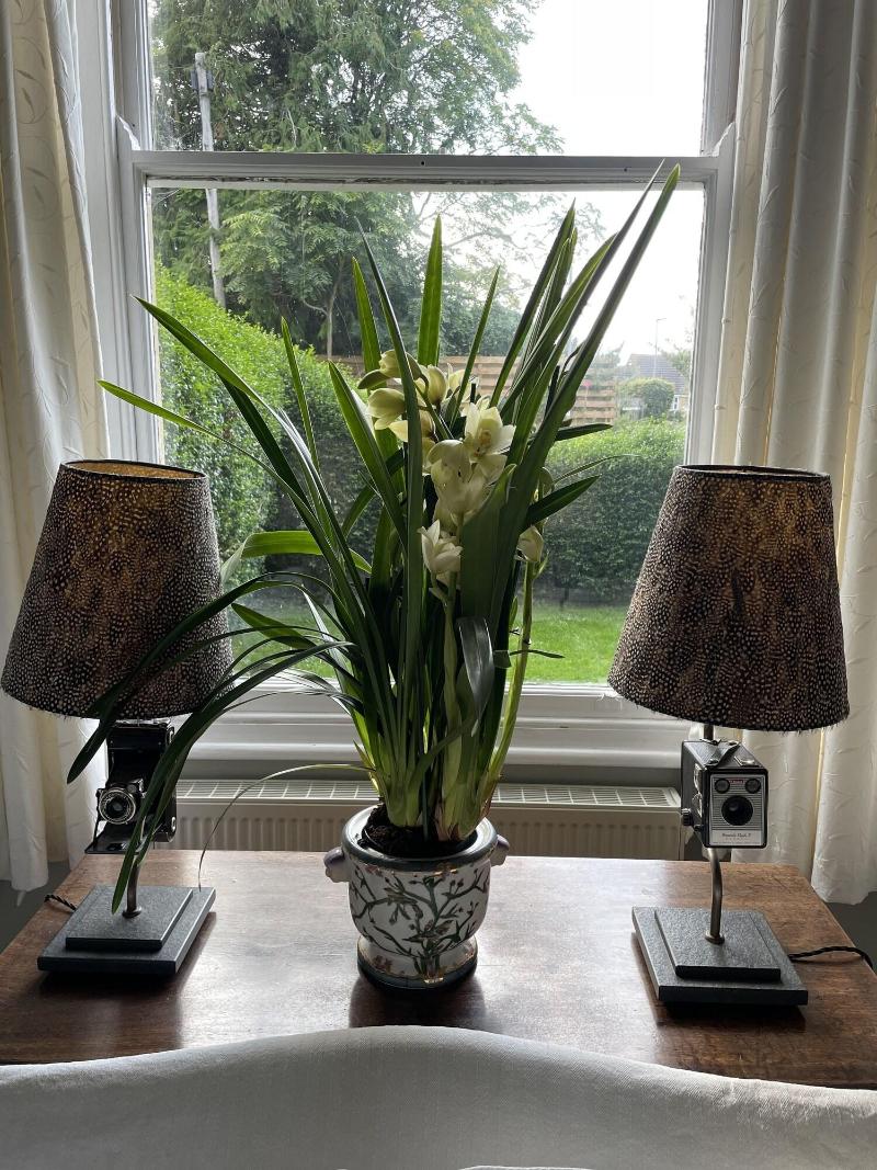Ellesmere House image