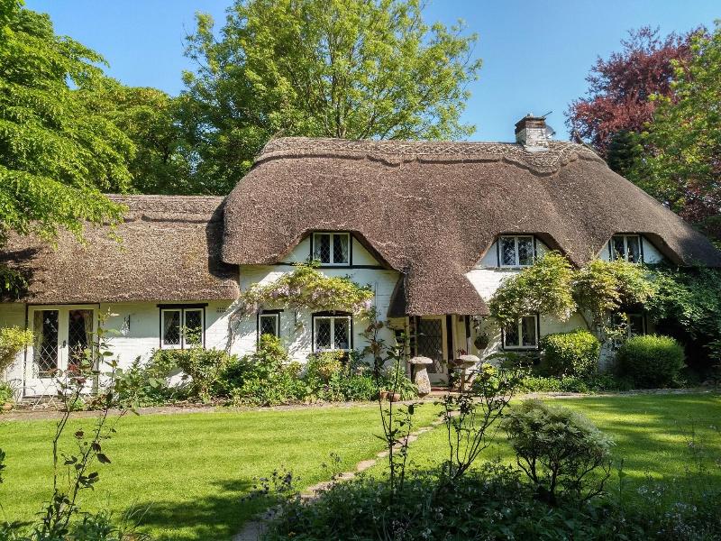 Thatched Eaves image