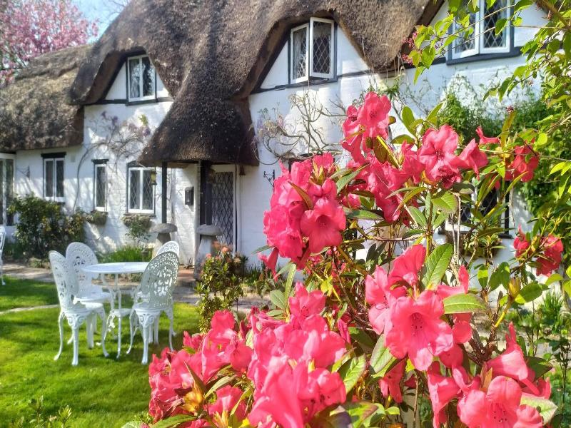 Thatched Eaves image