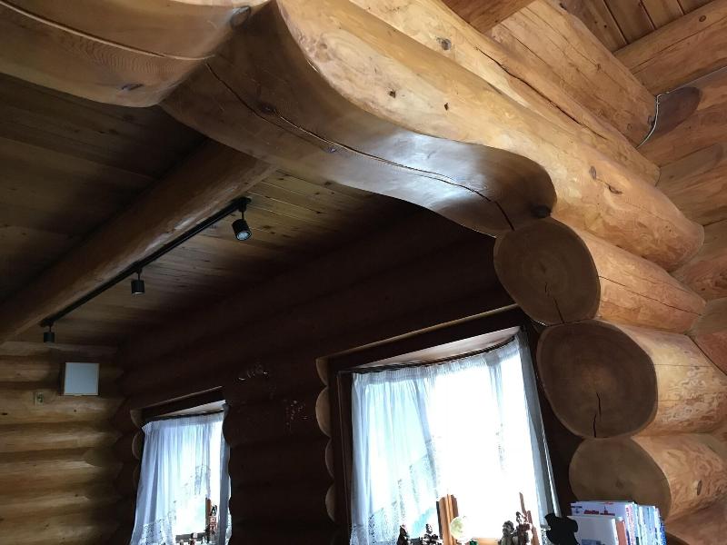 Mori No Log Hotel Kamloops image