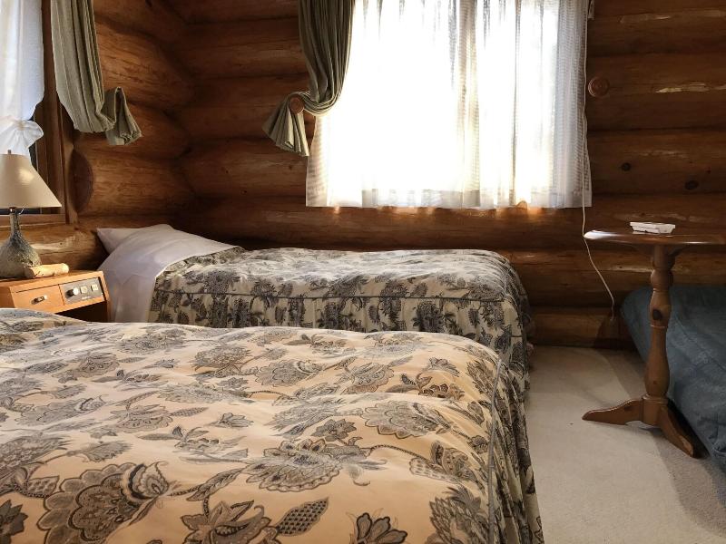 Mori No Log Hotel Kamloops image
