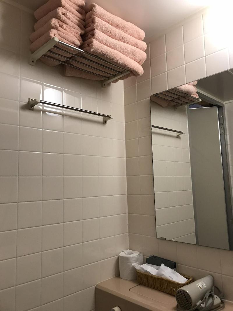 Mori No Log Hotel Kamloops image