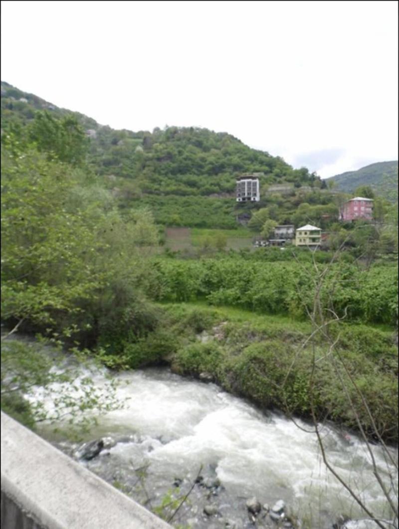 Balkon Pansiyon image