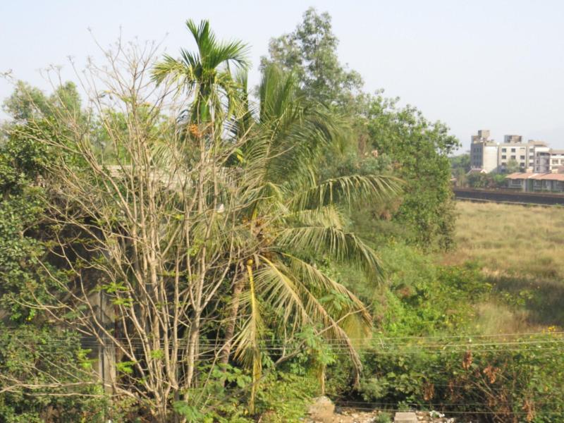 City Palace Resort image