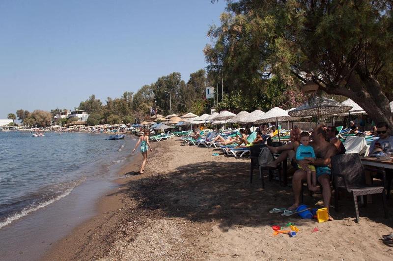 Metin's Gumusluk image