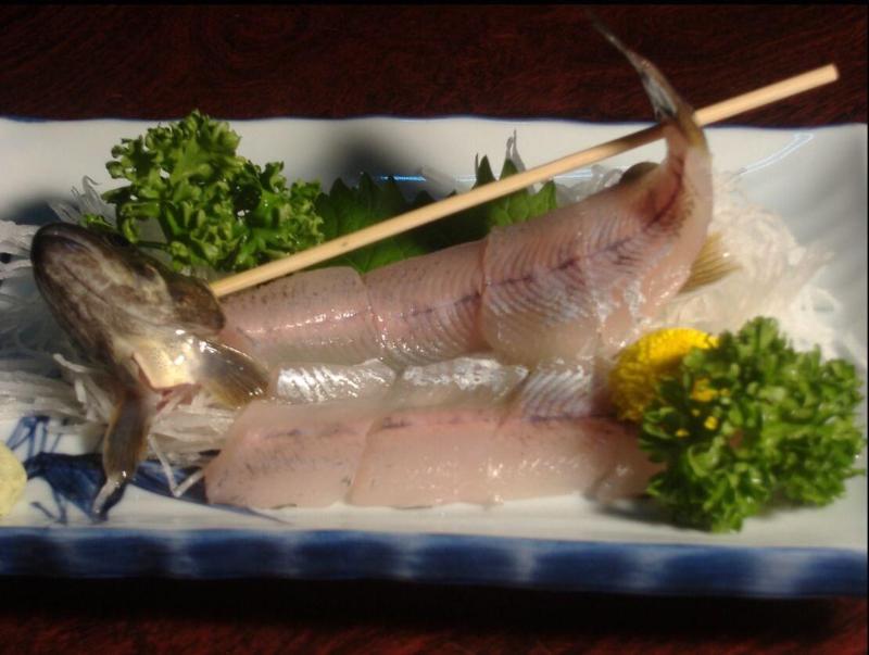 . Saratoku Ryokan