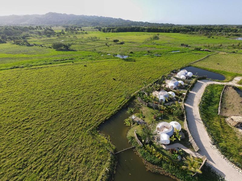 Green Land Bubble Glamping image