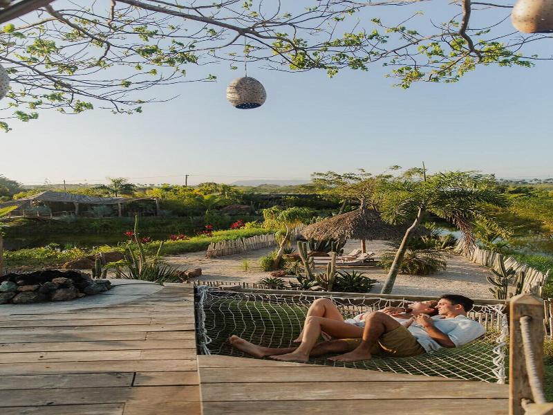 Green Land Bubble Glamping image