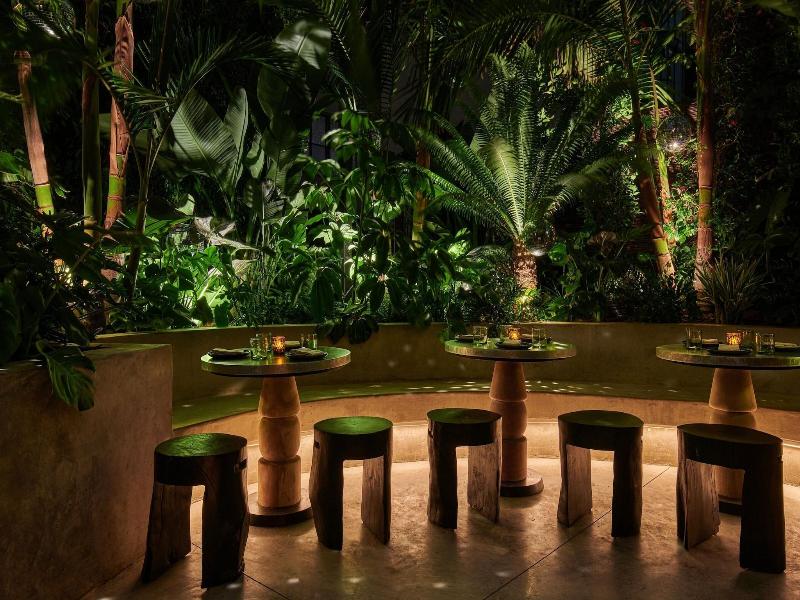 Hollywood Volume, a Tribute Portfolio Hotel image