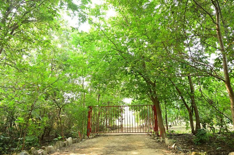 Tigers Heaven Resort