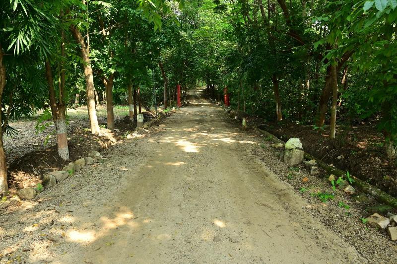 Tigers Heaven Resort
