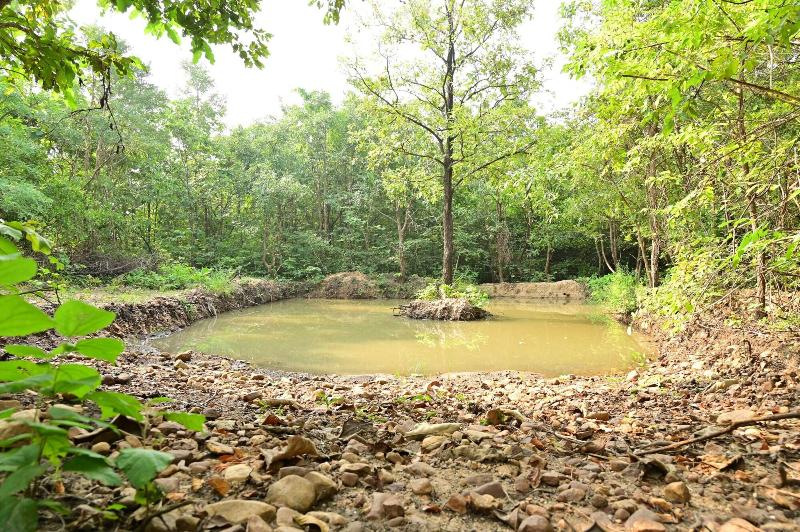 Tigers Heaven Resort