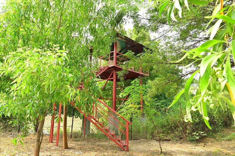 Tigers Heaven Resort