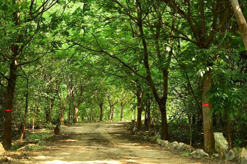 Tigers Heaven Resort