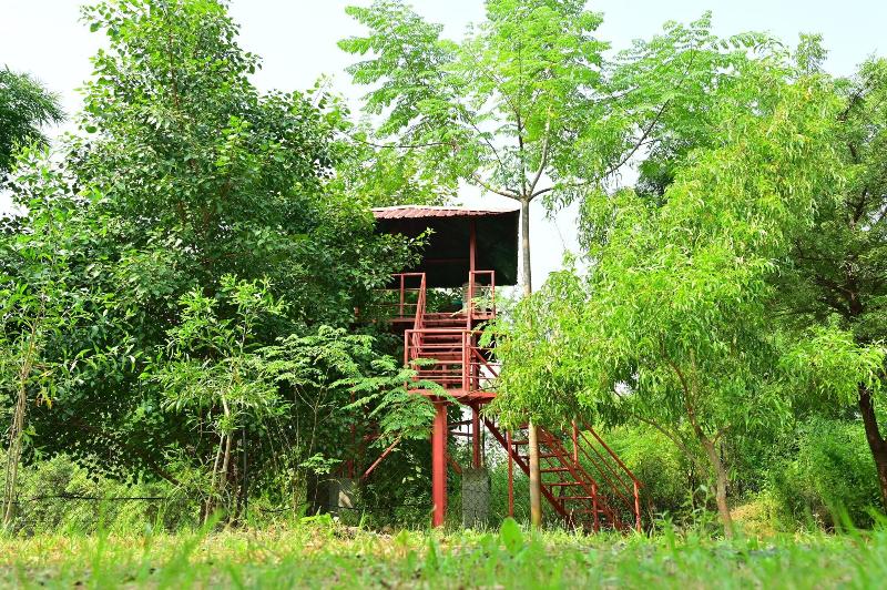 Tigers Heaven Resort