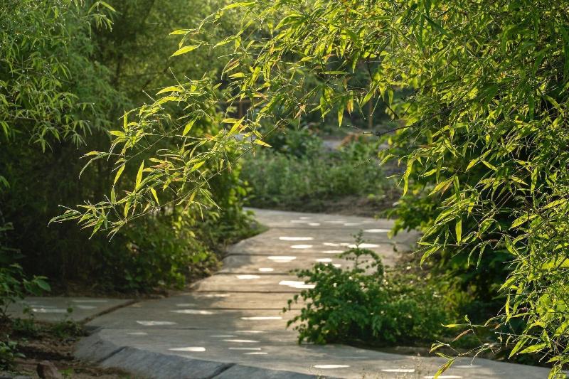 Red Earth Tadoba