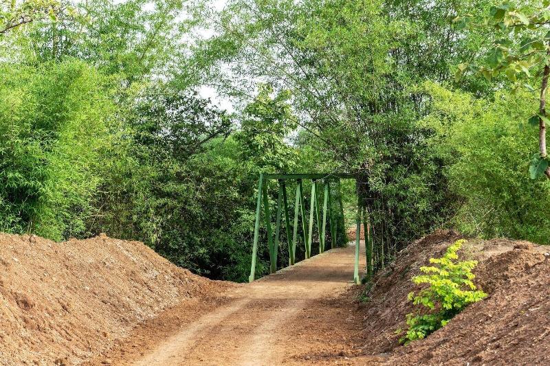Red Earth Tadoba