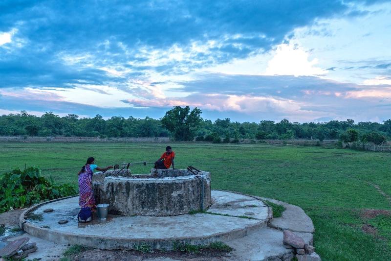 Red Earth Tadoba