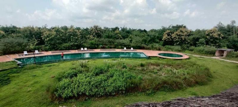 Red Earth Tadoba