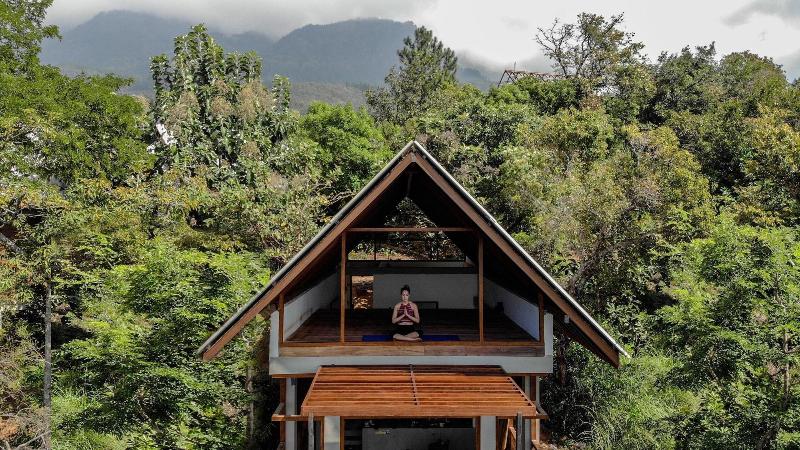 Treehouse Chalets image