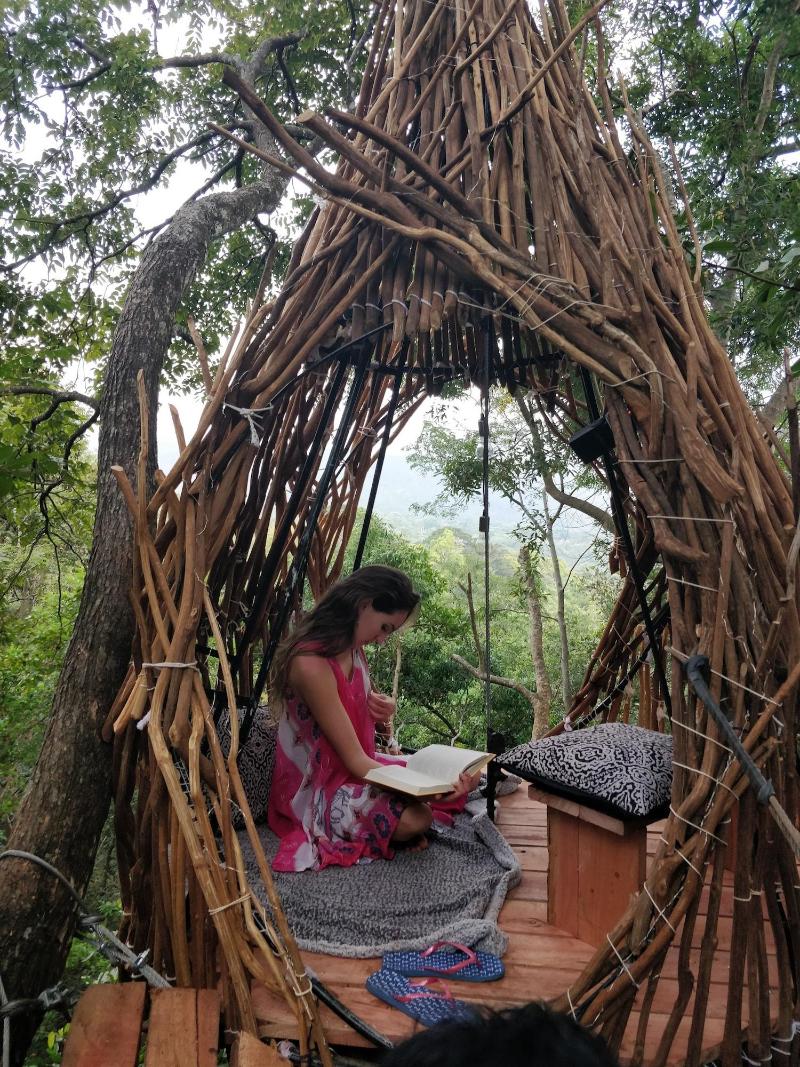 Treehouse Chalets image