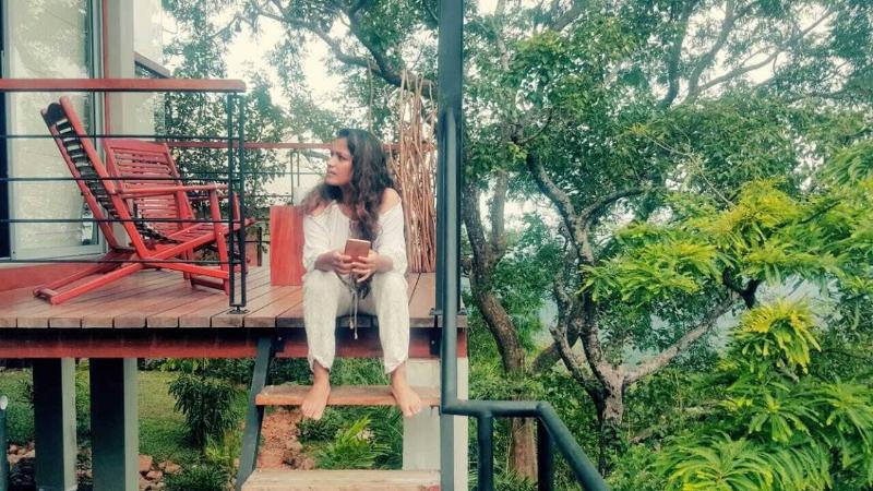 Treehouse Chalets image