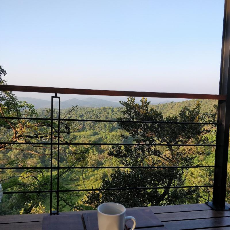 Treehouse Chalets image