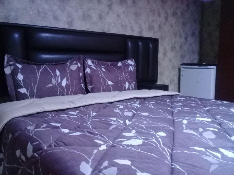 Seleen Hotel Suites image