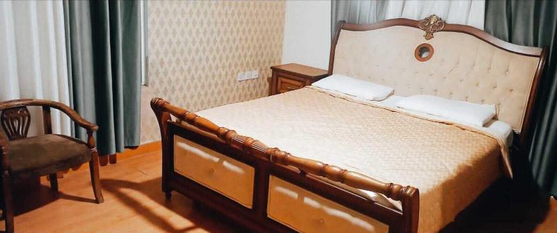 Seleen Hotel Suites image