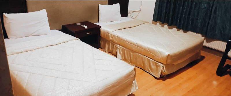 Seleen Hotel Suites image