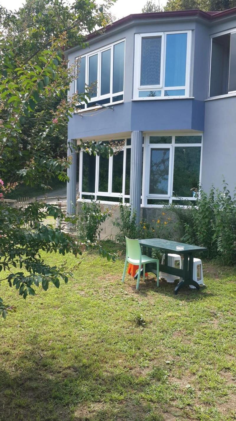 Cosy Park Apartment image