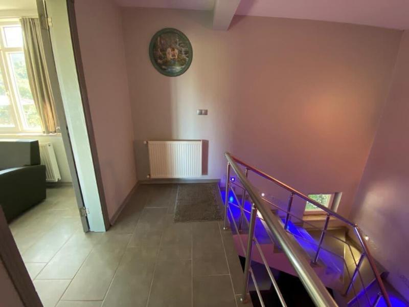 Cosy Park Apartment image