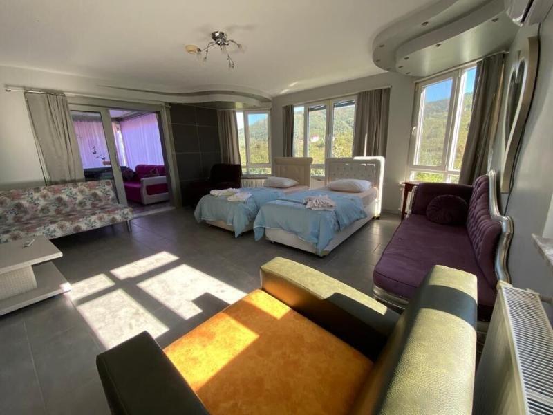 Cosy Park Apartment image