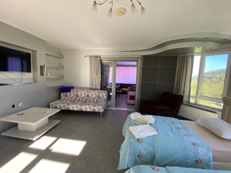 Cosy Park Apartment image